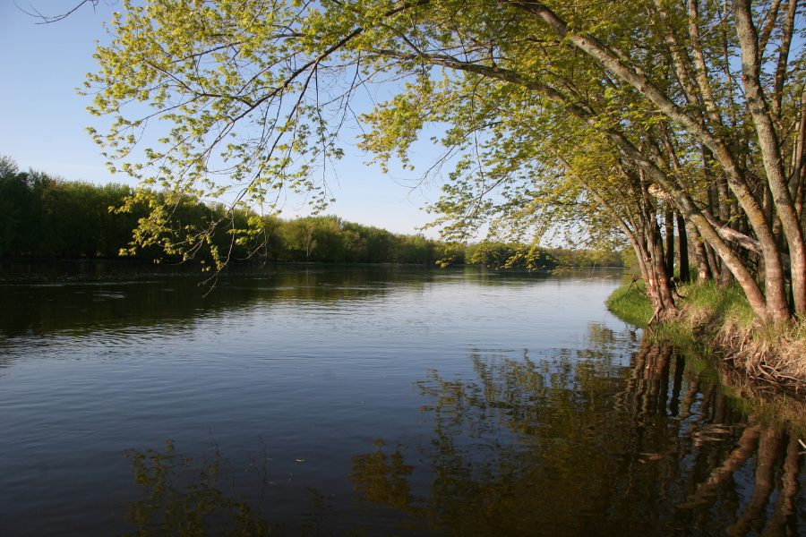 Ridge Spring